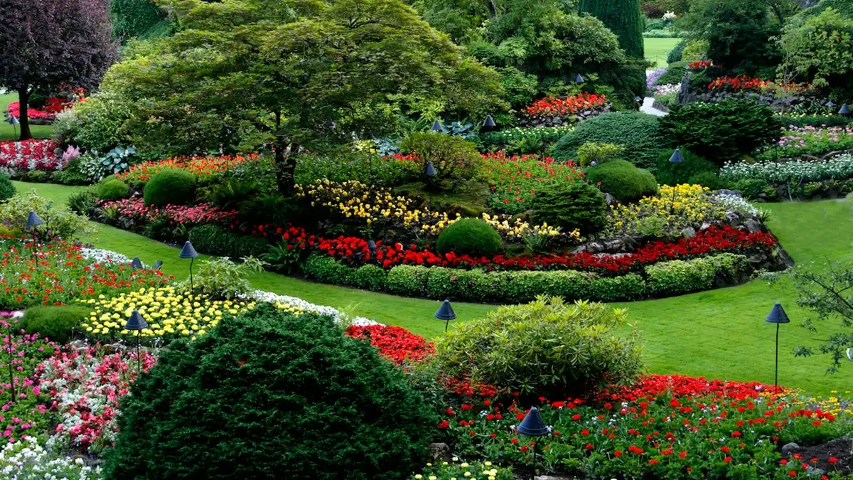 Idée aménagement jardin