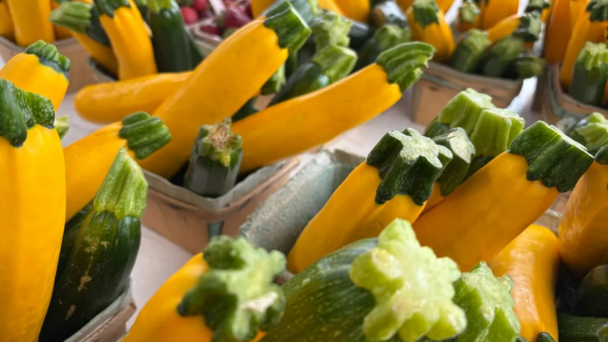 Choisir et préparer ses courgettes